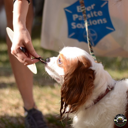 project_20220120_1715064-01 (1)